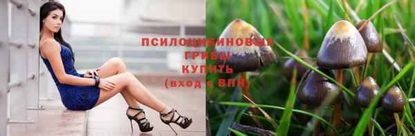 меф Белокуриха