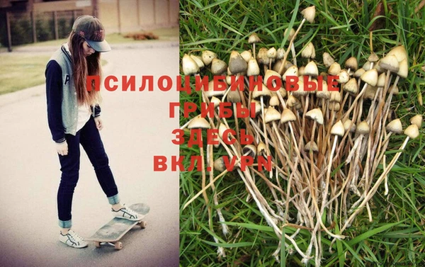 дистиллят марихуана Беломорск