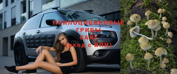 меф Белокуриха