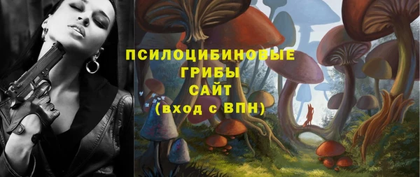 гашик Протвино