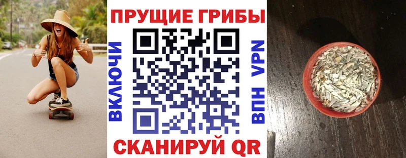 Галлюциногенные грибы мицелий  Шацк 